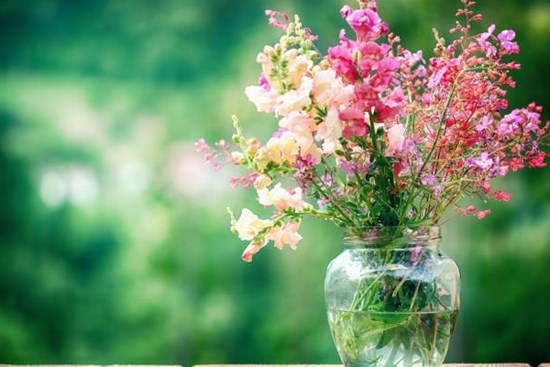 Tử vi tuần mới 15/5 - 21/5/2023: Tuổi Dần tranh đấu liên tiếp, tuổi Thân khẳng định vị thế