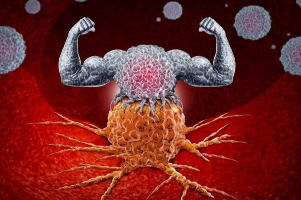 Loại rau cực ngon miệng nhưng ăn nhiều hại sức khỏe-2