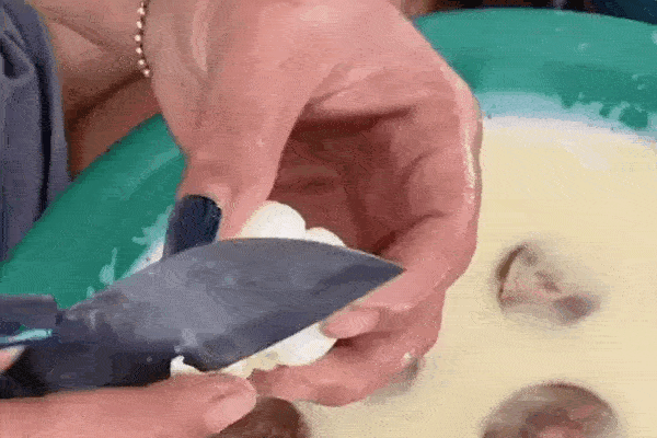 Thêm một cách gọt măng cụt xanh nhanh gọn không bị đen tay-7