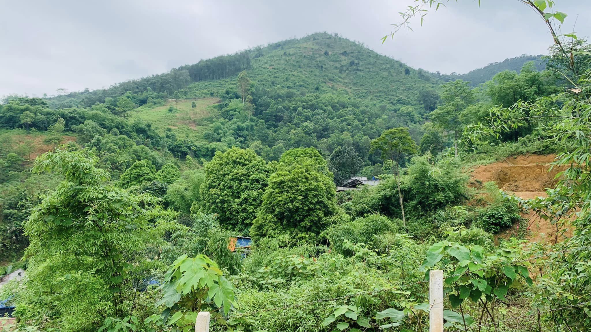 Bất động sản cắt lỗ vẫn bị ép giảm thêm 40 - 60%, NĐT sốc nặng-1