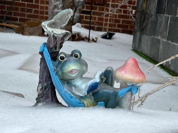 Cận cảnh những biệt thự triệu đô của Hồng Ngọc tại Mỹ: 1000m2 như khu nghỉ dưỡng ở biển, khung cảnh đẹp ngỡ ngàng vào mùa Đông-10