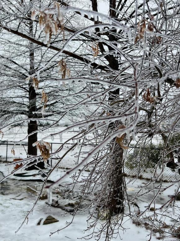 Cận cảnh những biệt thự triệu đô của Hồng Ngọc tại Mỹ: 1000m2 như khu nghỉ dưỡng ở biển, khung cảnh đẹp ngỡ ngàng vào mùa Đông-17