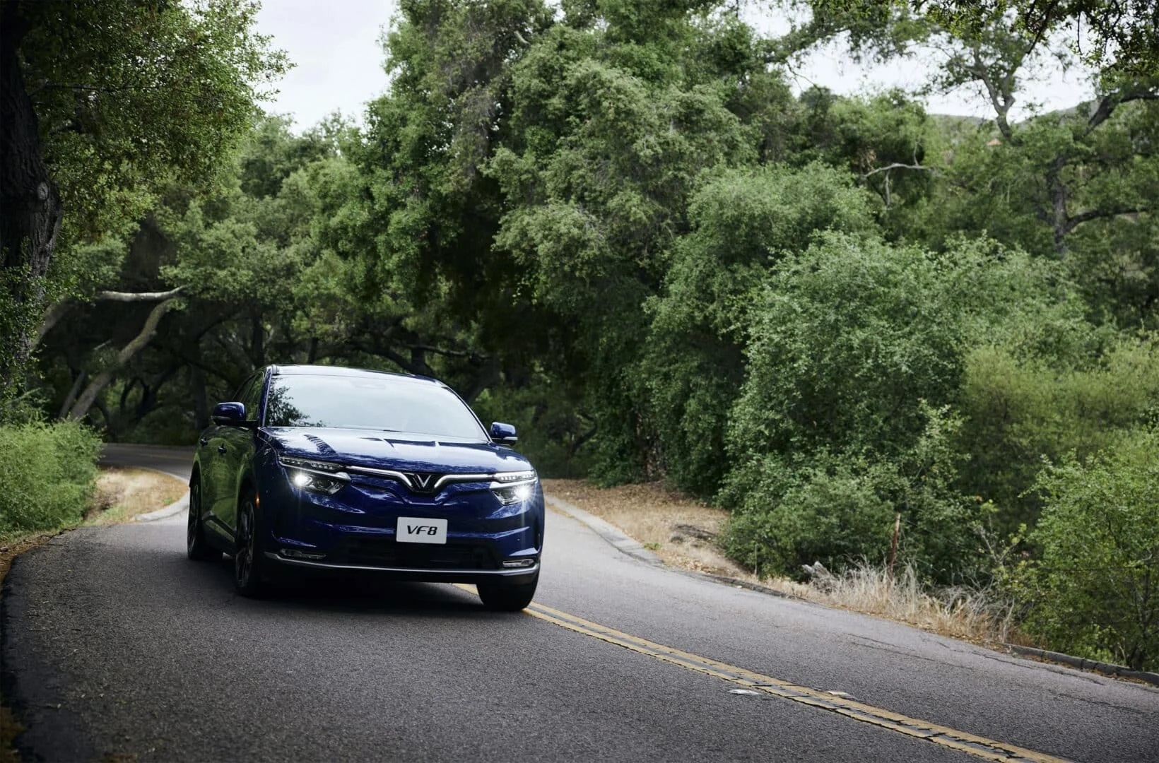 Chuyên trang ô tô Mỹ: VinFast VF 8 sẽ là đối thủ ‘đáng gờm’ trên thị trường-5