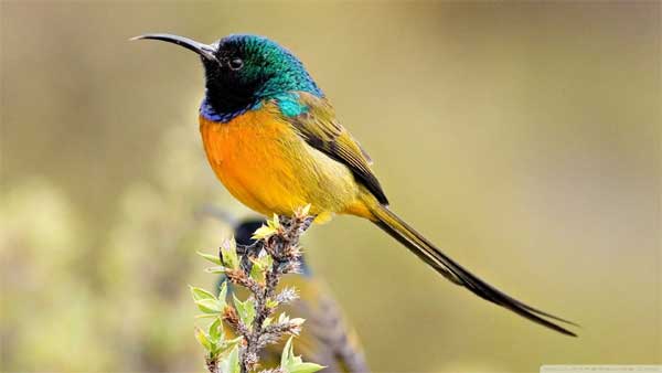 Tháng 4 Âm lịch, 4 con giáp gặp nhiều may mắn, danh lợi song toàn, mỗi ngày đều vui cười rạng rỡ-3