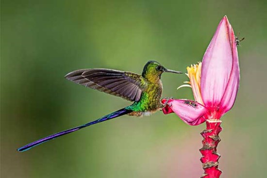 Tháng 4 Âm lịch, 4 con giáp gặp nhiều may mắn, danh lợi song toàn, mỗi ngày đều vui cười rạng rỡ