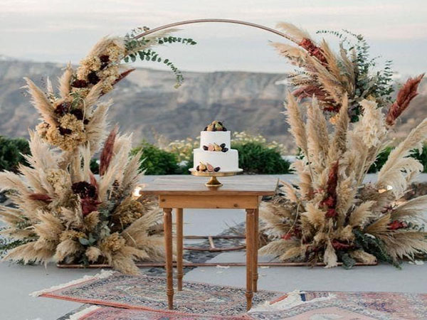 Kiếm cả chục triệu đồng mỗi tháng nhờ biến thứ bỏ hoang ngoài cánh đồng-2