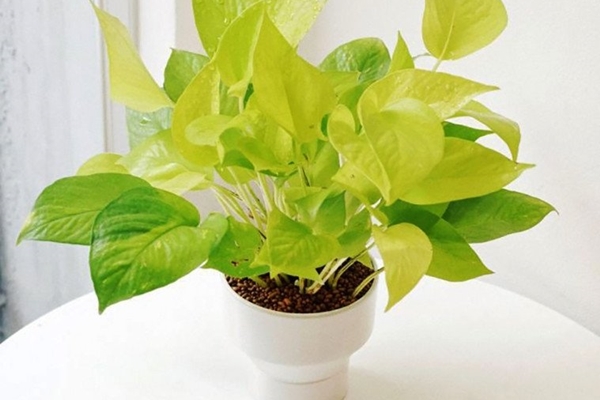 Vì sao không nên đóng kín cửa khi bật điều hòa?-2