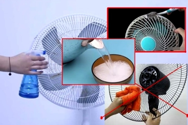 Trứng gà vỏ nâu hay vỏ trắng bổ dưỡng hơn?-5