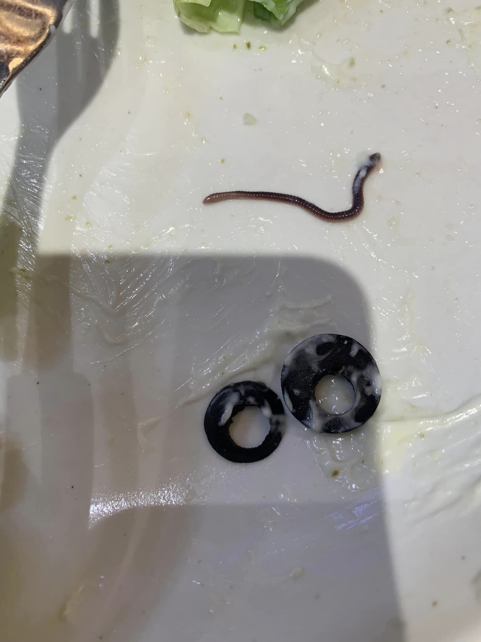 Đĩa salad có sinh vật lạ ngoe nguẩy, nhà hàng sườn nổi tiếng Hà Nội nói gì?-2