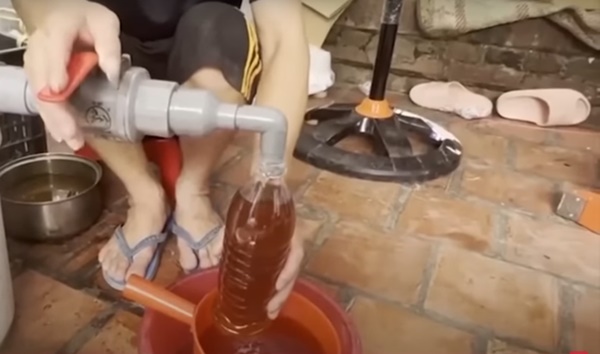 Hàng nghìn lít mật ong giả bị bắt quả tang, làm thế nào để nhận biết chất lượng?-1