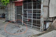 Nguyên nhân nữ nhân viên quán cà phê thư giãn bị sát hại