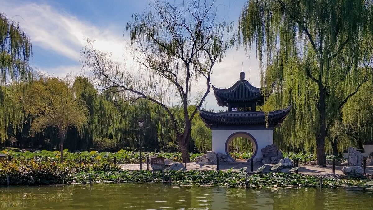 Người xưa dặn: 5 cây không vào sân, gia đình thịnh vượng, con cháu giàu có ba đời-4