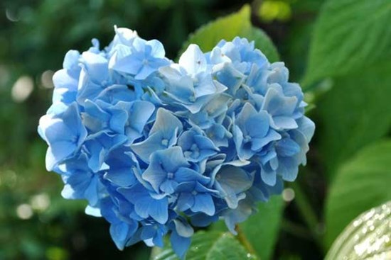 15 ngày tới đây, 3 con giáp nghiêm túc, biết nhìn xa, vượng đường thăng tiến