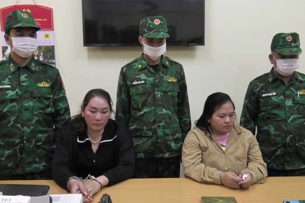 Người dân lại trình báo nhìn thấy thú hoang dã giống hổ ở Lâm Đồng-4