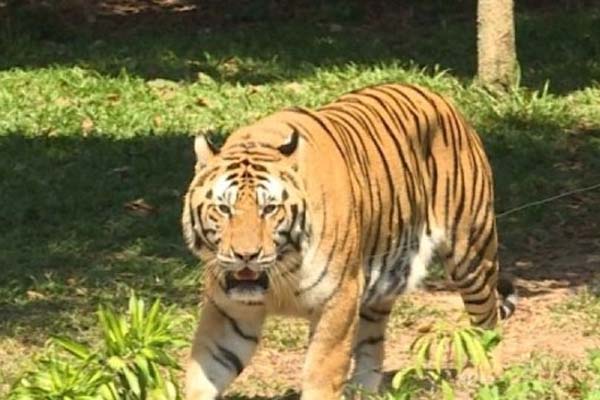 Nhà hàng bị tố bán suất ăn 200 nghìn đồng/người chỉ có canh với vài miếng thịt-3