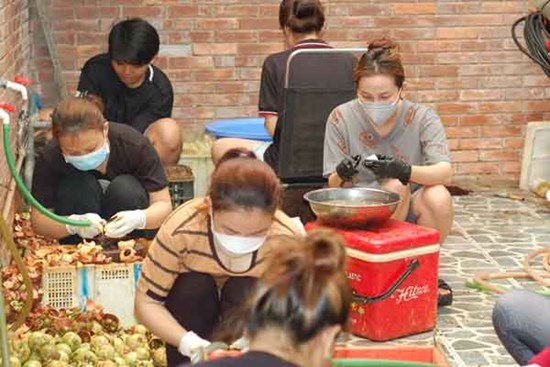 Bên trong vựa măng cụt tiêu thụ hơn 1 tấn mỗi ngày ở TP.HCM, sinh viên làm thêm kiếm tiền triệu