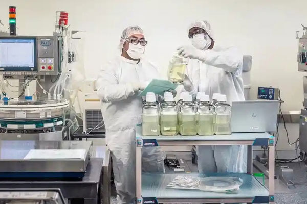 Hai phụ nữ đánh nhau trên tàu cao tốc vì một đứa trẻ nghịch ngợm-3