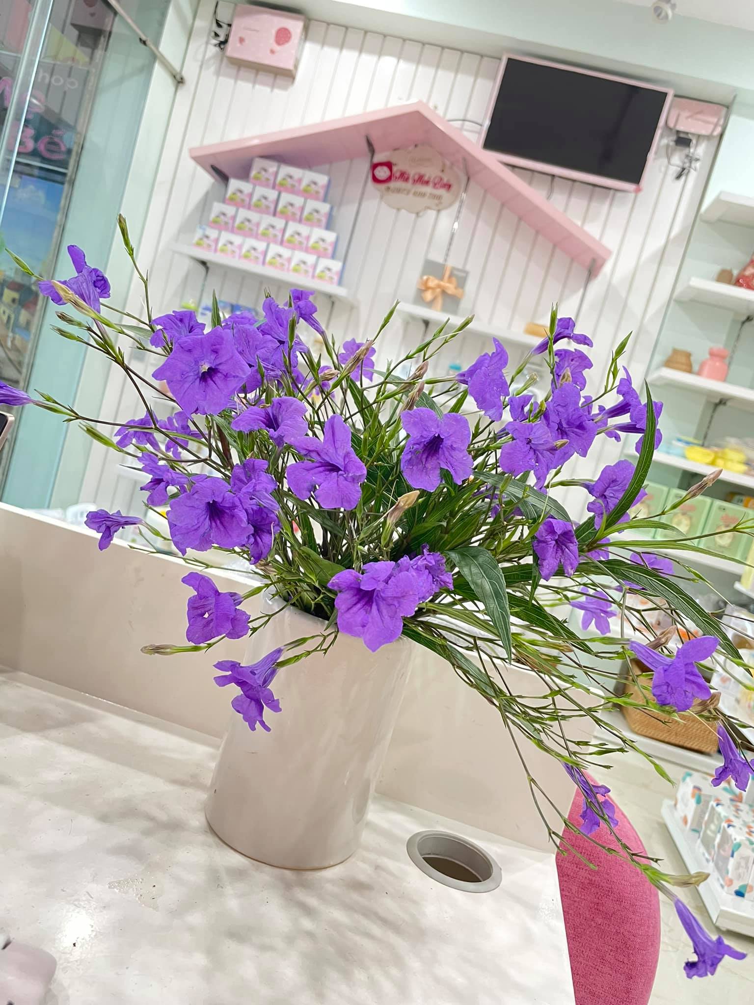 Mẹ 1 con chia sẻ kinh nghiệm dưỡng hoa, giúp bông nào bông nấy cũng nở đều tăm tắp-4