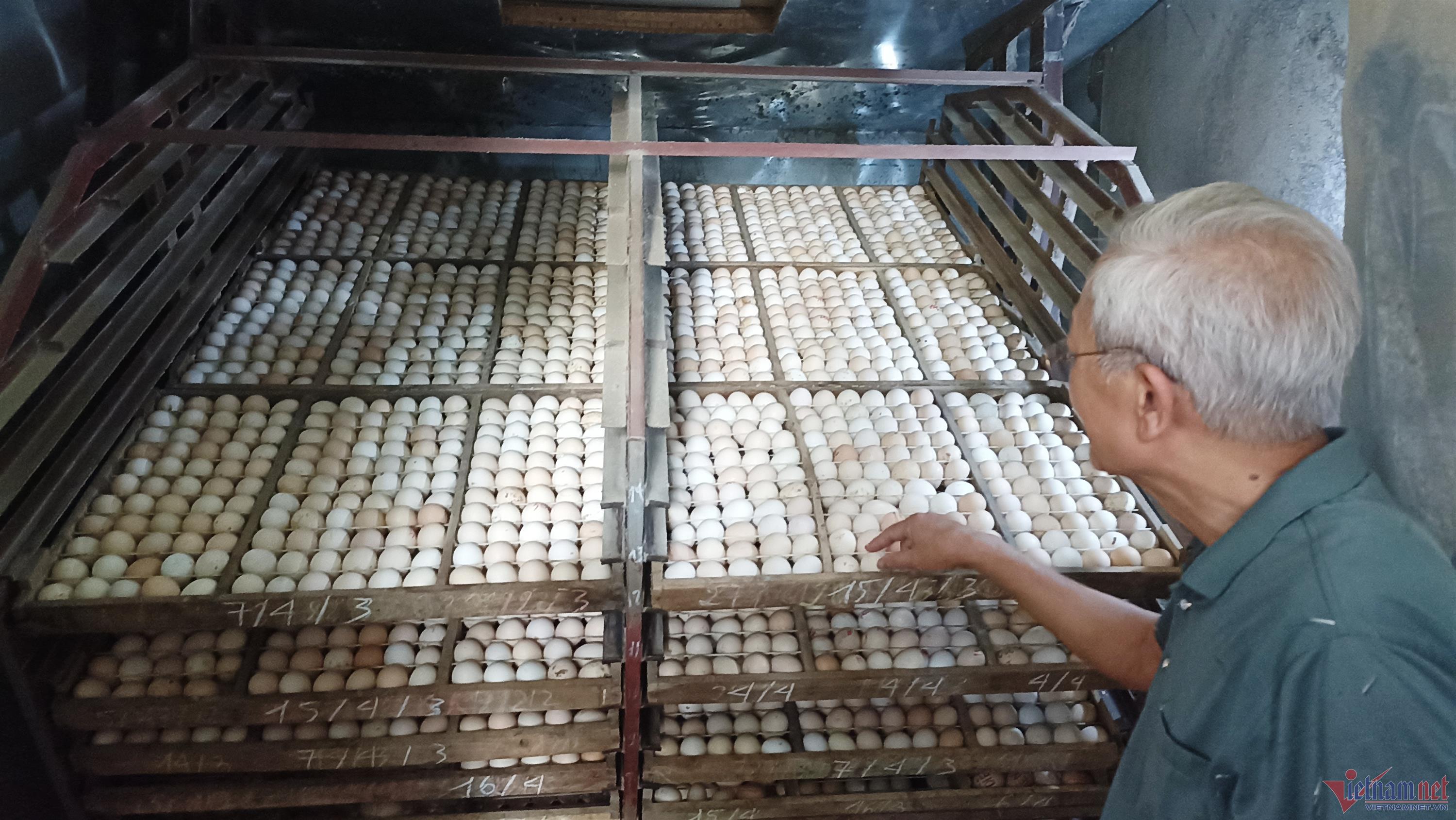 Thầy giáo về hưu nuôi gà Đông Tảo, thu tiền tỷ mỗi năm-4