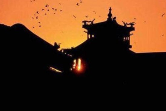 Cứ tới nửa đêm, Tử Cấm Thành lại đầy quạ: Giới khoa học nêu 3 nguyên nhân