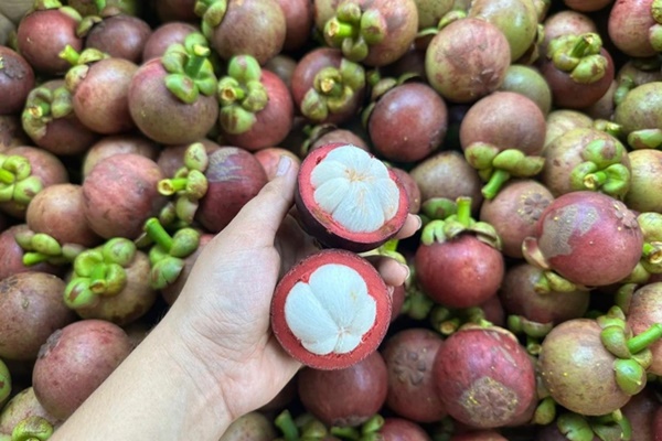 Việc nhẹ lương cao ở Việt Nam: Gọt măng cụt kiếm nửa triệu đồng mỗi ngày-4