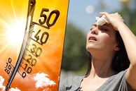 Sốc nhiệt ngày nắng nóng dễ gây đột quỵ, tử vong: Hãy học cách tự bảo vệ mình theo khuyến nghị của WHO