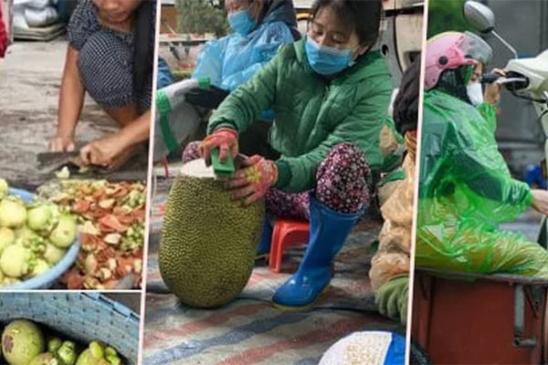 Măng cụt rớt giá hậu cơn sốt gỏi gà măng cụt xanh-6