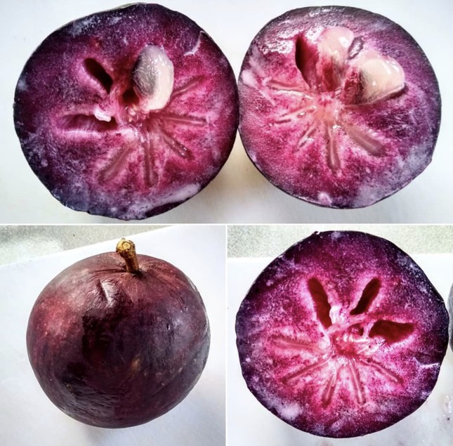 Loại quả tưởng vậy mà không phải vậy giá cao vẫn đắt khách-3