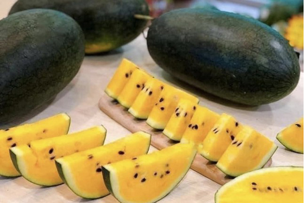 Hà Nội nắng đổ lửa, chanh vàng giải nhiệt 30.000 đồng/quả cháy hàng-3