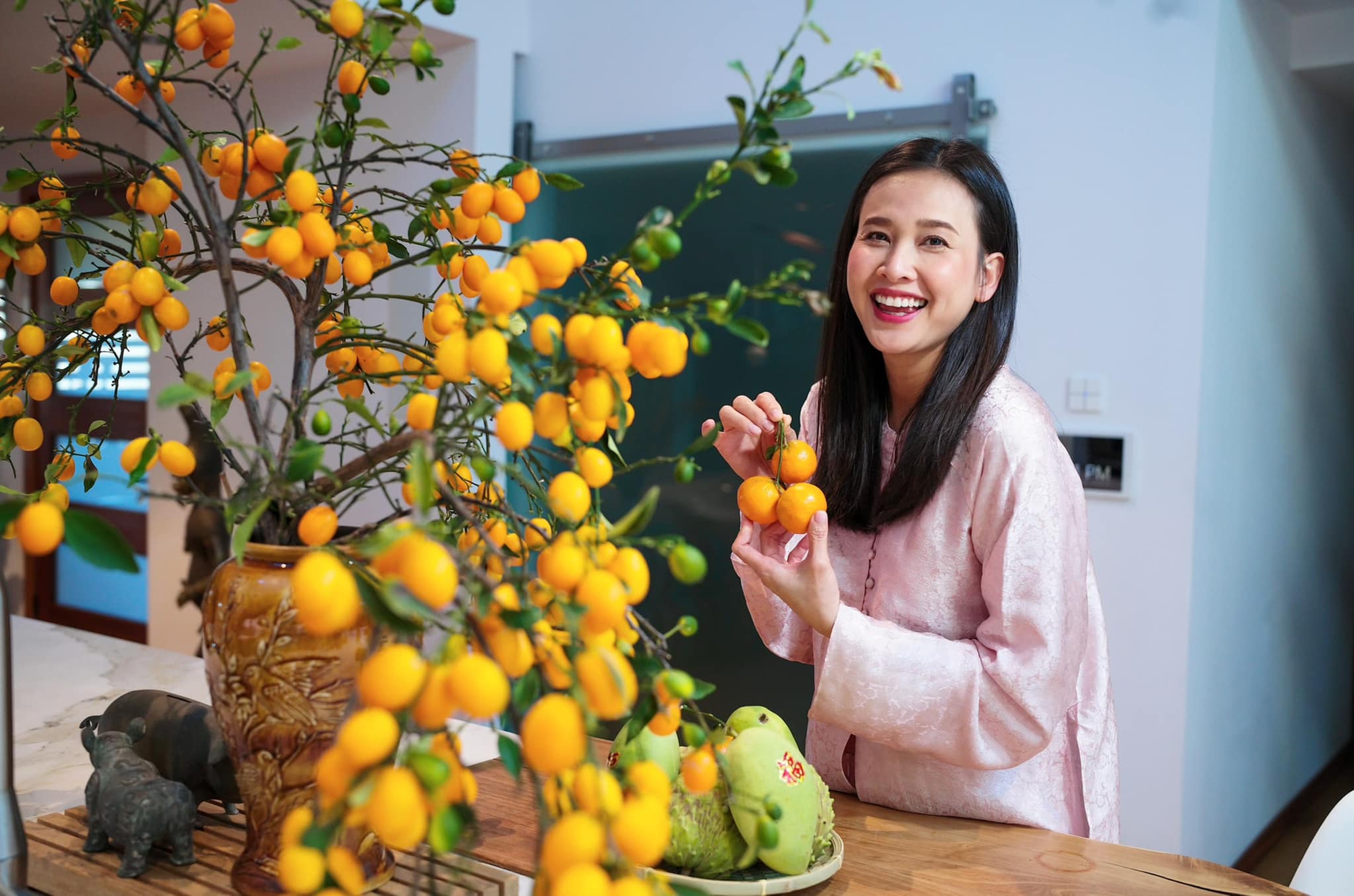 Nàng Hoa hậu được Hà Kiều Anh tác thành với đại gia, tổ chức đám cưới chỉ 60 khách mời ở Việt Nam, bí mật sinh con đầu lòng có cơ ngơi tại Mỹ ra sao?-5