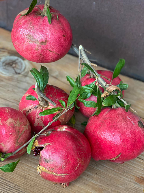 Nàng Hoa hậu được Hà Kiều Anh tác thành với đại gia, tổ chức đám cưới chỉ 60 khách mời ở Việt Nam, bí mật sinh con đầu lòng có cơ ngơi tại Mỹ ra sao?-20