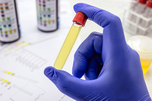 Cuộc sống hai mặt của gã cảnh sát giết vợ, lừa dối nhân tình-1