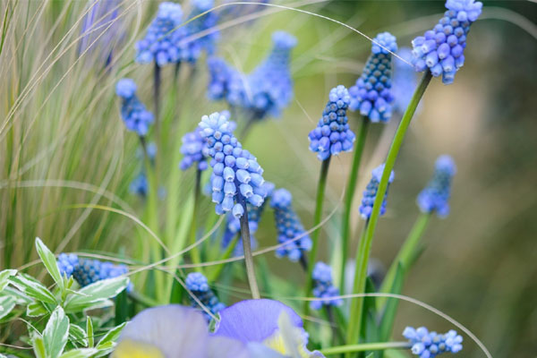 3 con giáp thông thái, chẳng ngại cạnh tranh, cuối tháng 5 kiếm tiền về đầy túi-4