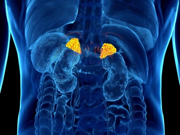 Nhờ một dấu hiệu ở bụng, người phụ nữ phát hiện mắc ung thư và hành trình vượt sinh tử-5