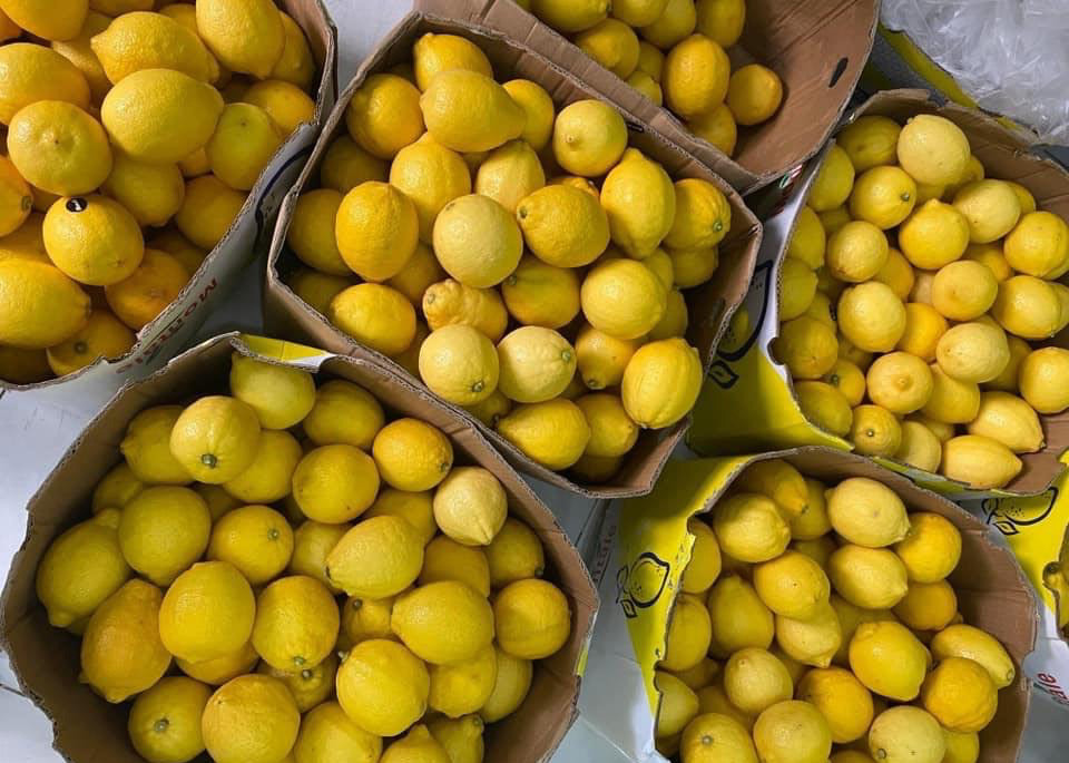 Hà Nội nắng đổ lửa, chanh vàng giải nhiệt 30.000 đồng/quả cháy hàng-1