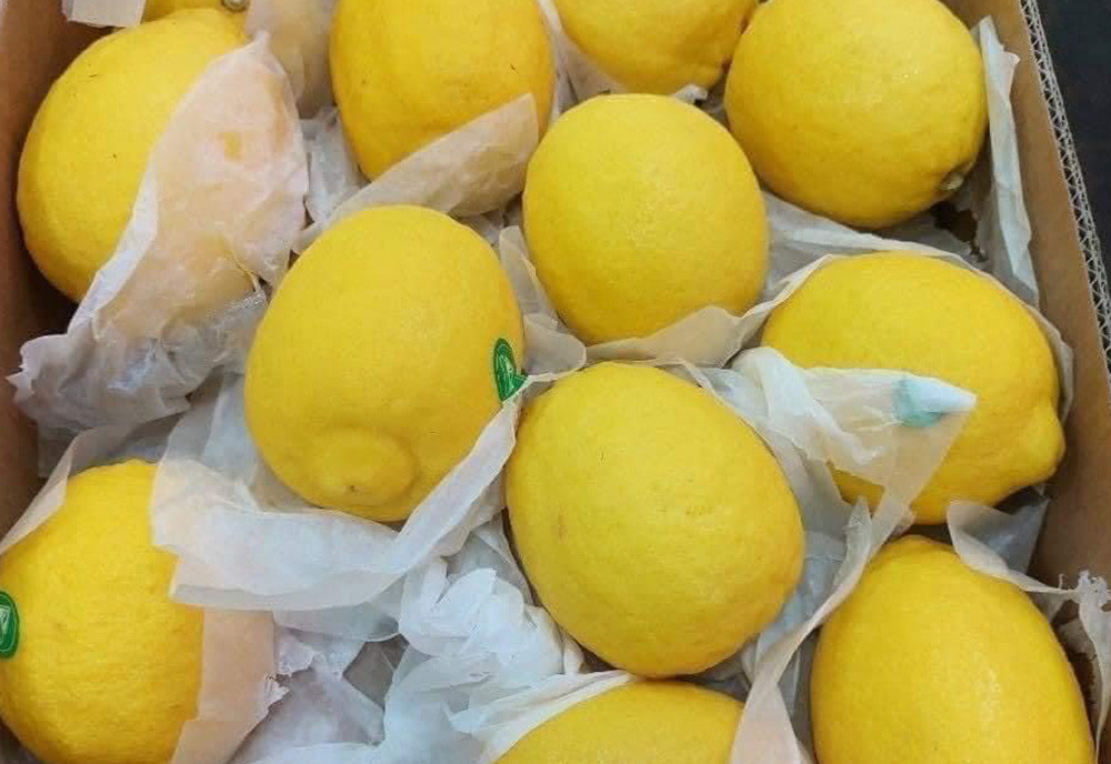 Hà Nội nắng đổ lửa, chanh vàng giải nhiệt 30.000 đồng/quả cháy hàng-2