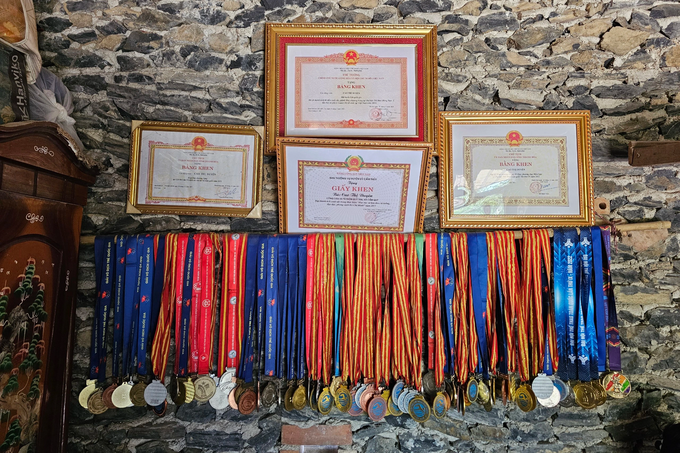 Bất ngờ gia cảnh, bước ngoặt số phận của cô gái vàng môn lặn SEA Games 32-3