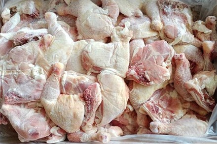 Số liệu gây choáng: Hàng chục nghìn tấn gà thải nhập vào Việt Nam mỗi tháng