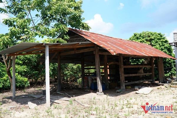 Cận cảnh căn nhà đơn sơ của Hoa hậu vừa thú nhận bị buộc thôi học, nhiều lần muốn sửa nhà cho mẹ mà không được-14