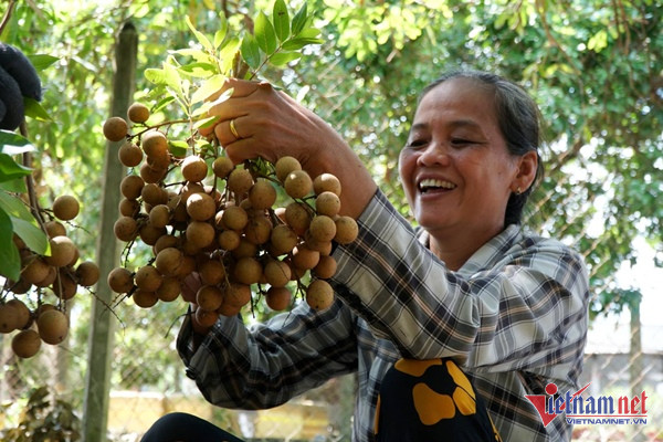 Cận cảnh căn nhà đơn sơ của Hoa hậu vừa thú nhận bị buộc thôi học, nhiều lần muốn sửa nhà cho mẹ mà không được-16