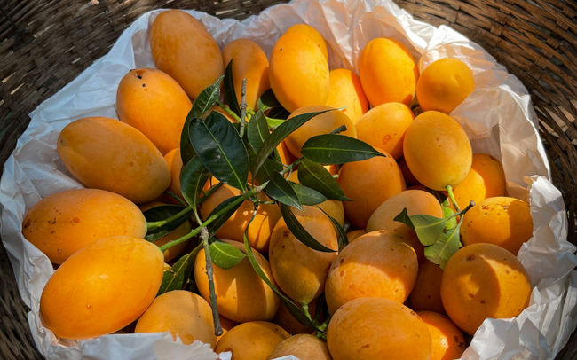 Xoài đang vào mùa, với 4 mẹo này sẽ chọn được xoài ngon ngọt làm sinh tố đẹp da-2