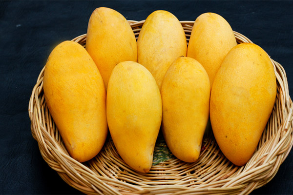 Chọn áo chống nắng: Những tiêu chí hàng đầu ngăn tối đa tia UV tấn công-5