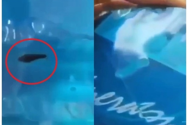 Vụ con đỉa trong bình nước: Mức phạt khó tin vì ... tiêu hủy chứng cứ-3