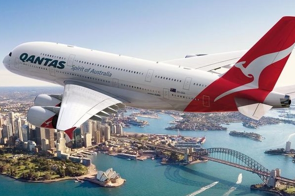 Hàng xóm nuôi 7 con bò trên ban công tầng 5 chung cư gây phẫn nộ-4