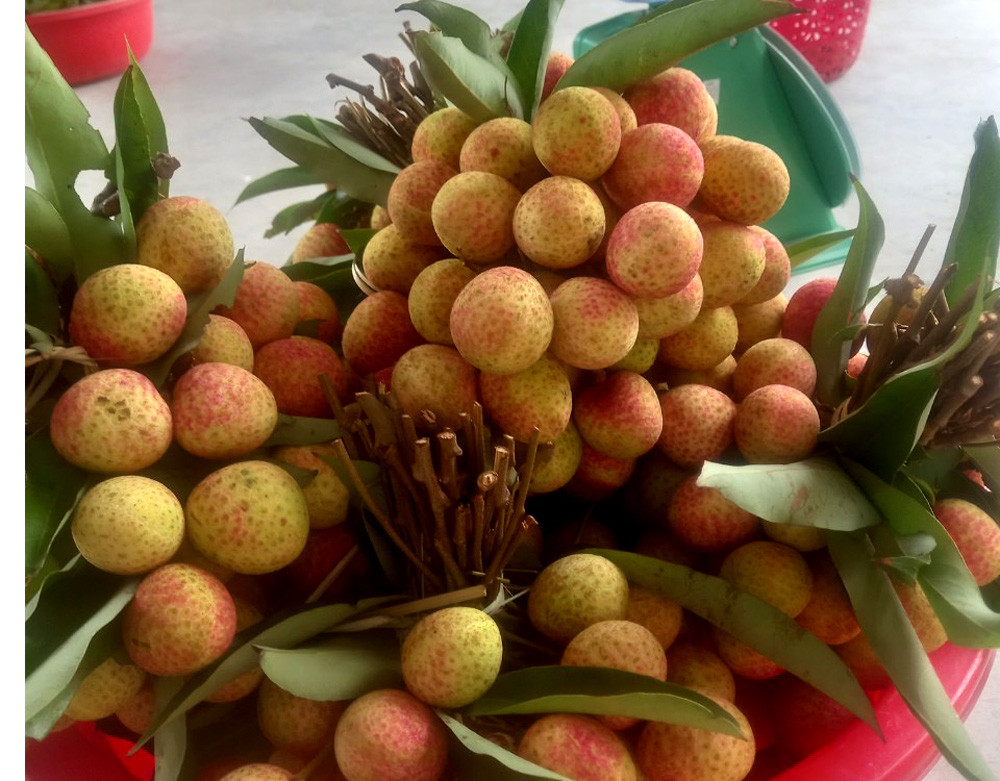 4 vạn tấn vải thiều chờ bán, có loại 90.000 đồng/kg người mua vẫn xếp hàng-1