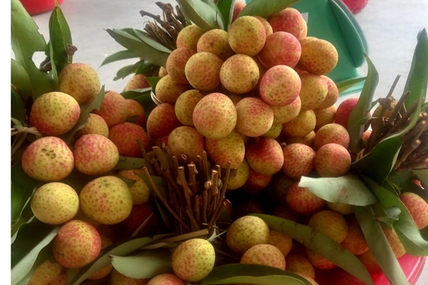 3 phụ nữ chia sẻ về cách lập ngân sách và tư duy tiết kiệm tối đa trong cuộc sống-2