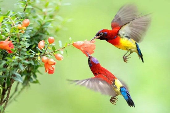 Tháng 4 Âm lịch vô lo, 3 con giáp vượng vận may mắn, thu nhập tăng vọt, cuộc sống sung túc