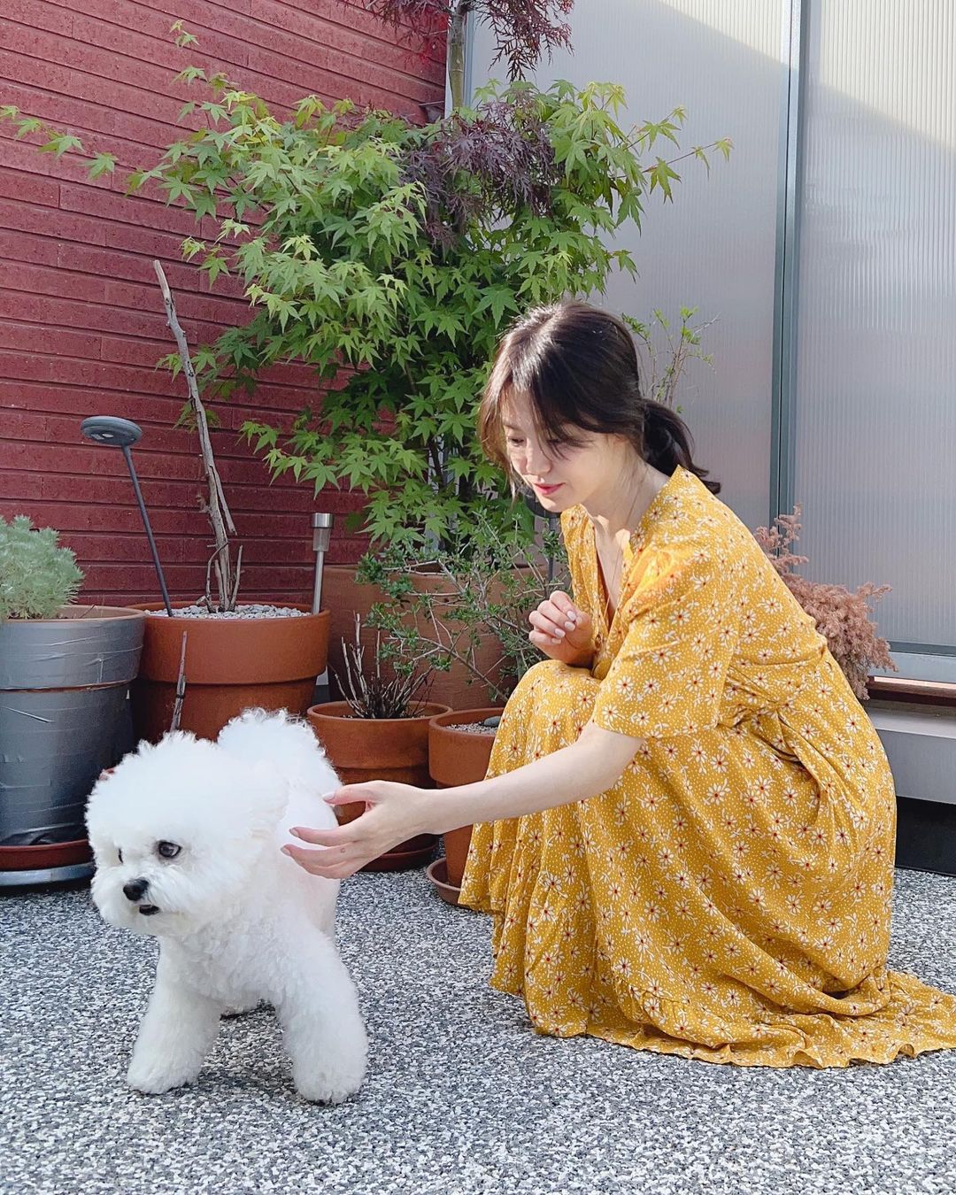 Song Hye Kyo khoe khoảnh khắc bình yên bên cún cưng, nhưng mặt mộc hoàn hảo mới là tiêu điểm-2