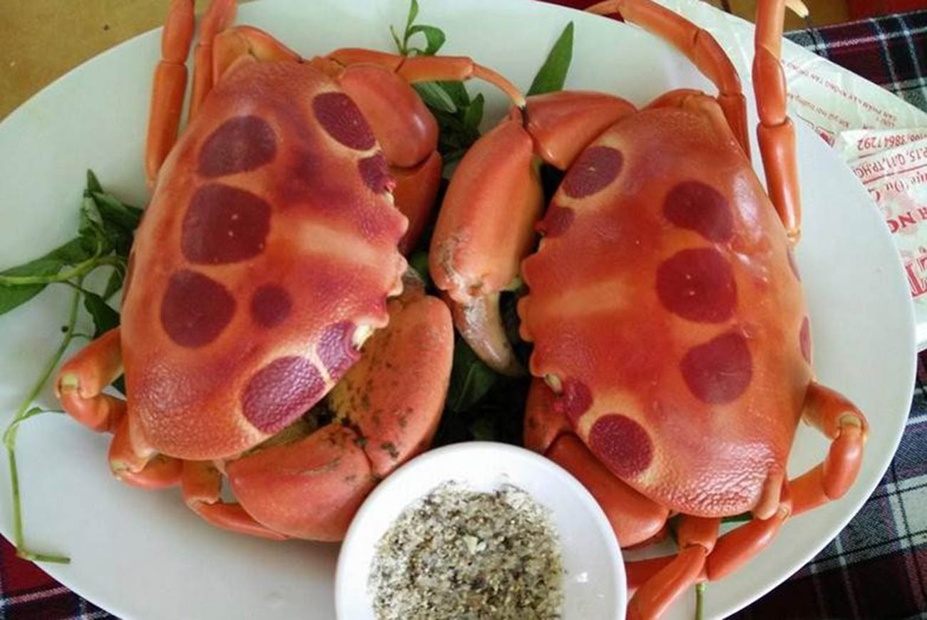 Những loại cua quý hiếm, có tiền cũng khó mua được-2