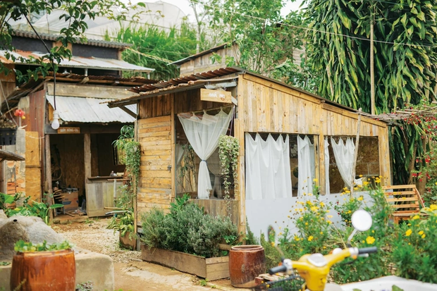 Vì sao giới trẻ muốn rời khỏi thành phố nhưng về quê cũng đối mặt không ít áp lực?-2